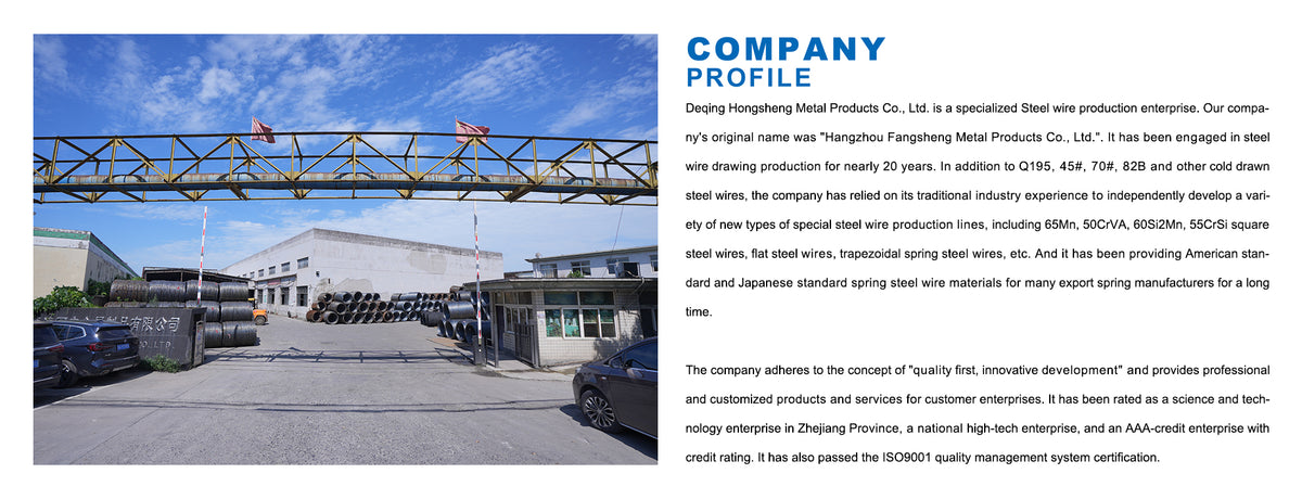 hongshengsteelwire.com
